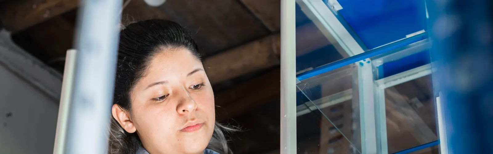 Trabajadora limpiando con un paño el cristal de una vitrina